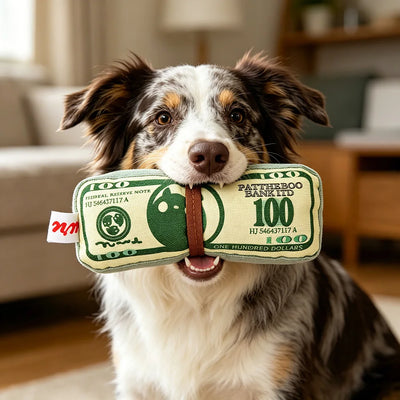 Banknot
